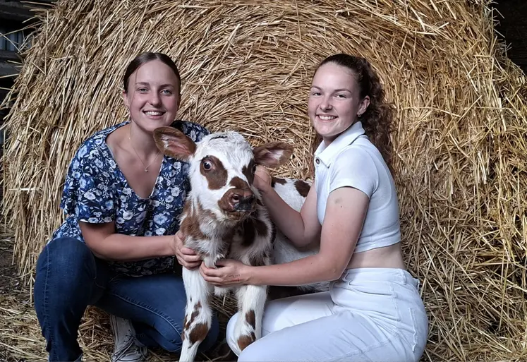 Deux jeunes étudiantes avec un veau devant accroupies devant une botte de paille