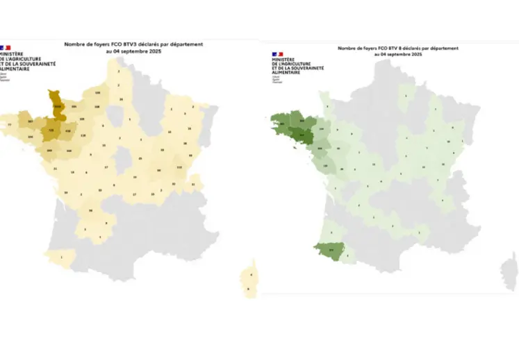 Cartes des foyers de FC03 et FCO8 depuis le 1er juin 2025