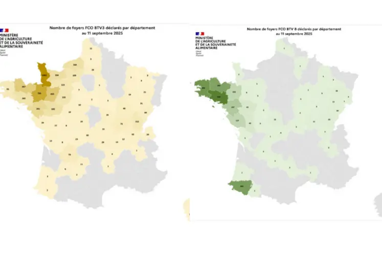 Cartes des foyers de FC03 et FCO8 depuis le 1er juin 2025 au 12 septembre 2025.