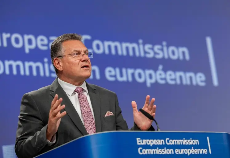 Maroš Šefcovic, commissaire au commerce et à la sécurité économique, et commissaire aux relations interinstitutionnelles et à la transparence  