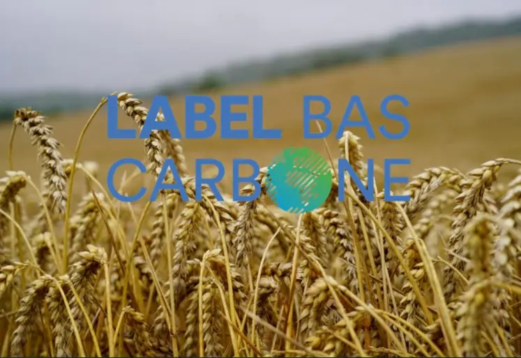 champ de blé avec en incrustation label bas carbone