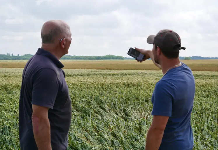 Deux agriculteurs devant une parcelle, l'un utilisant son téléphone pour la gestion de son exploitation. 