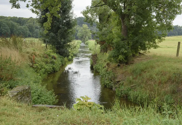 cours d'eau au milieu de champs et d'arbres