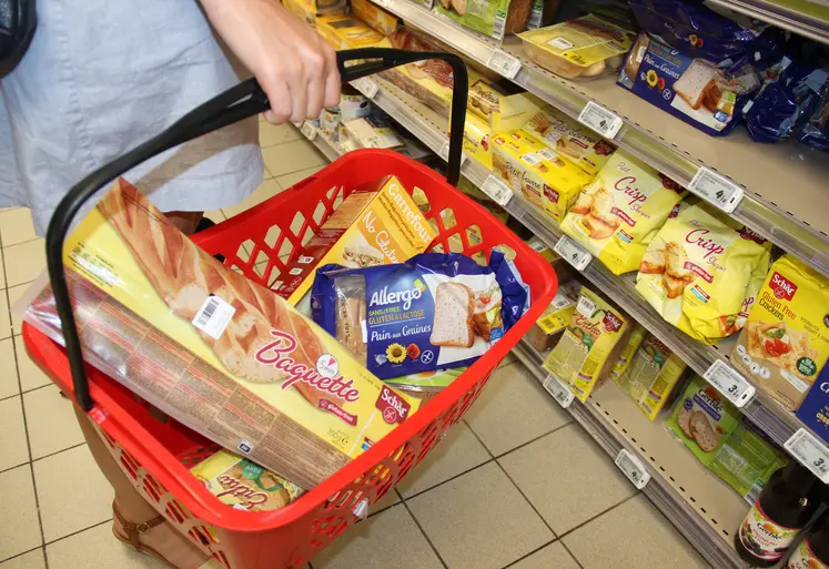personne tenant un panier de courses dans un supermarché
