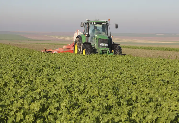 tracteur dans un champ de moutarde