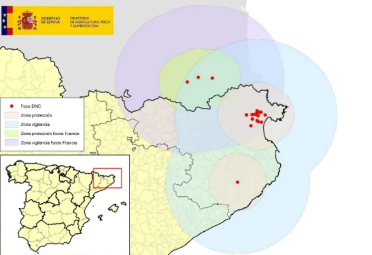 Carte des cas de DNC en Catalogne au 21 octobre 2025.