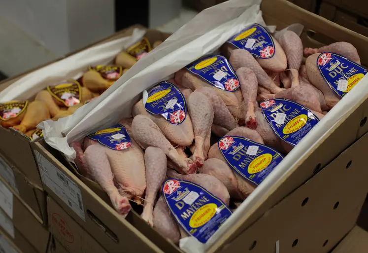 poulets emballés avec étiquette dans un carton