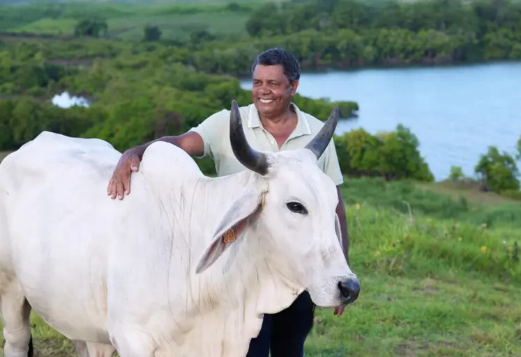 un homme caresse une vache blanche avec la mer en arrière-plan