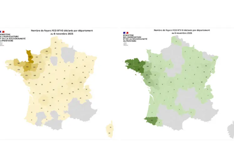 Cartes des foyers de FC03 et FCO8 depuis le 1er juin 2025