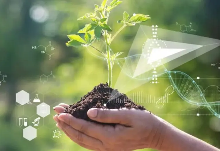 mains de femme tenant une motte de terre 