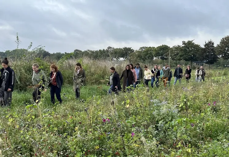 Personnes marchant dans des infrastructures de biodiversité sur la ferme pilote d'Agoterra.