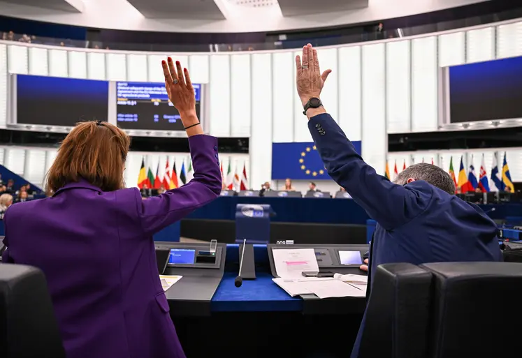 Deux députés européens levant la main pour voter au sein du Parlement européen.