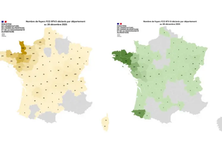  Cartes des foyers de FCO3 et FCO8 au 26 décembre 2025.