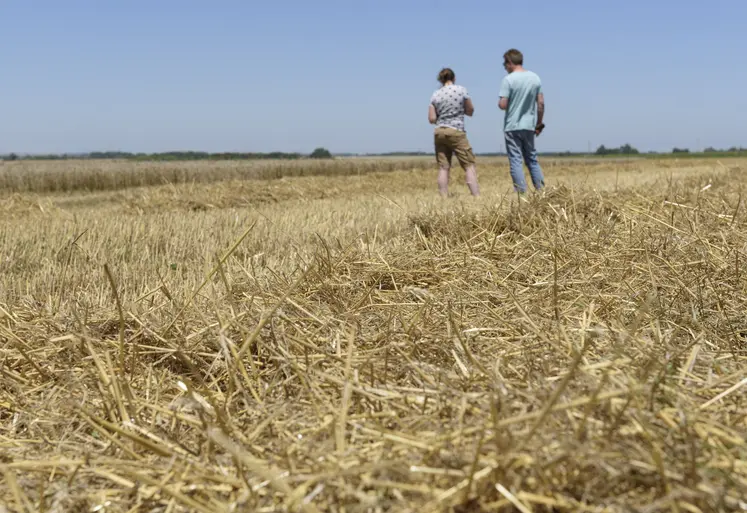   Un agriculteur et sa fille de dos de loin dans un champs moissonné 
