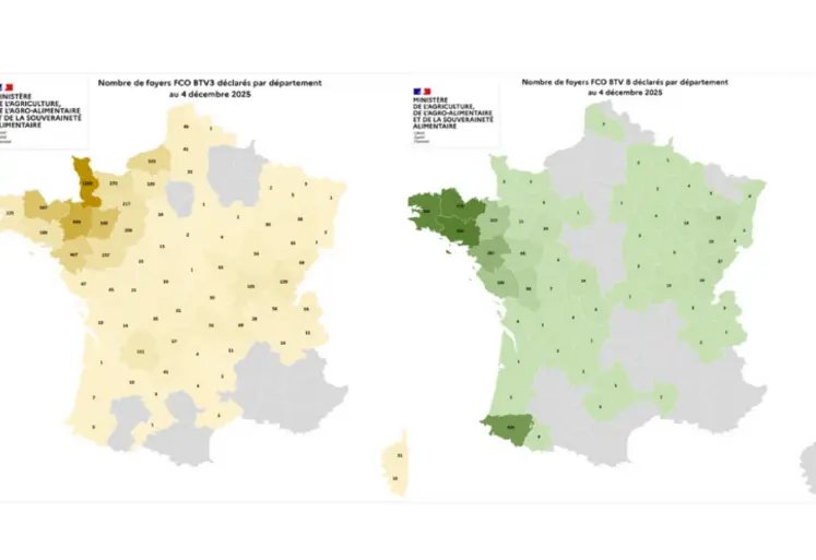 Cartes des foyers de FCO3 et FCO8 au 4 décembre 2025.