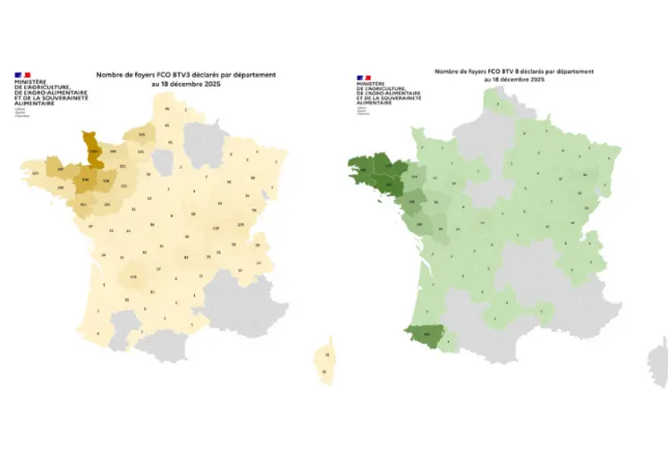  Cartes des foyers de FCO3 et FCO8 au 18 décembre 2025.