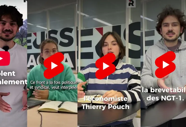 Montage des vignettes des vidéos Youtube réalisés par Réussir.fr