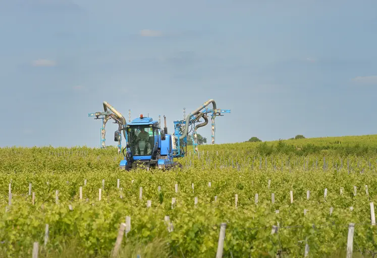 Traitement phytosanitaire par pulvérisation dans les vignes avec un tracteur en Gironde.  