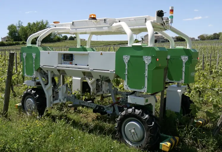 robot dans un champ de vigne
