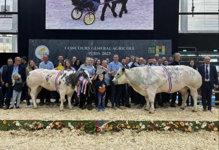 deux vaches lauréates au concours général agricole 2026