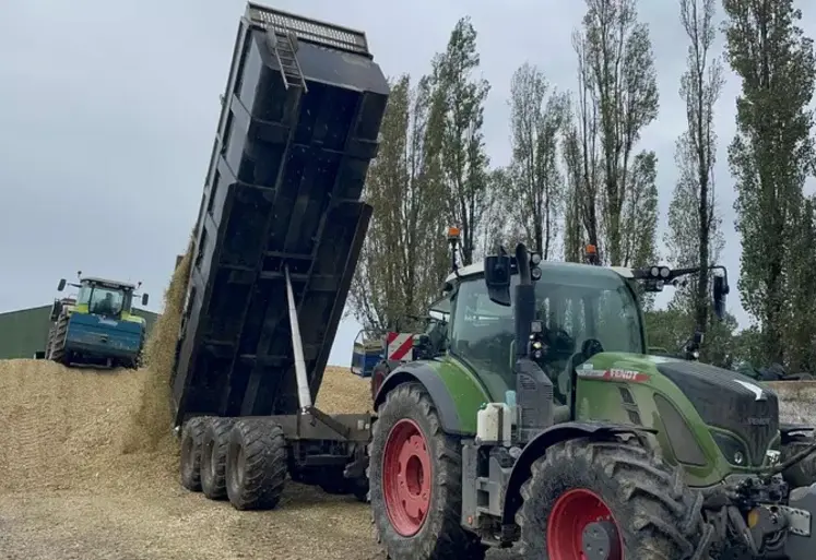 Tracteur déversant du maïs ensilage dans un silo   