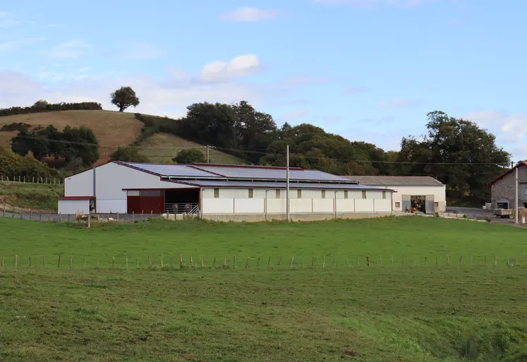 Bâtiment d'élevage bovin en Nouvelle Aquitaine