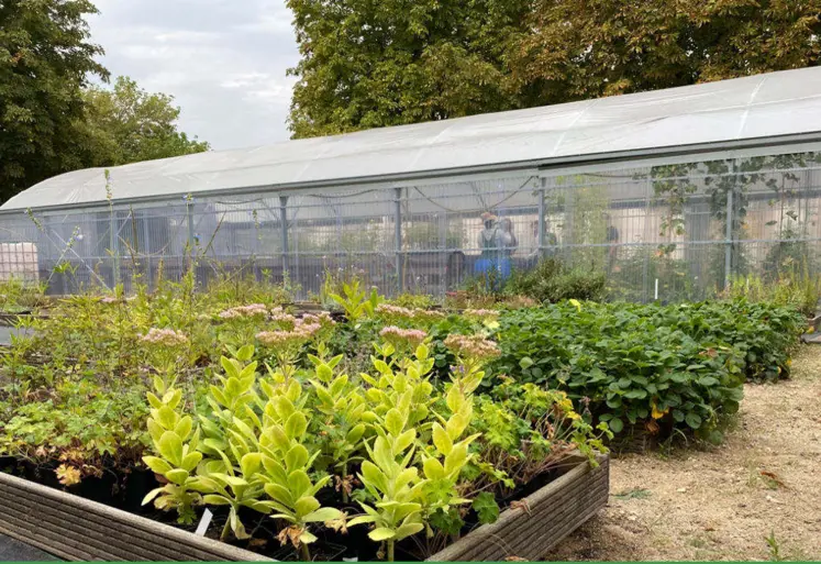 serres et carrés potagers