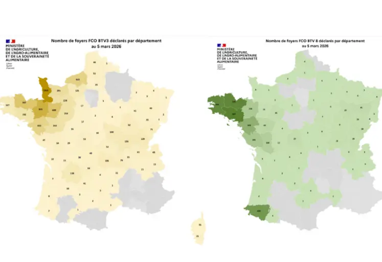 Cartes des foyers de FCO3 et FCO8 depuis le 1er juin 2025