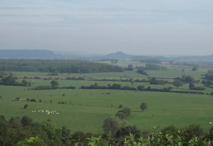 Paysage de la Haute Marne avec des terres agricoles, du foncier, des zones de pâturage et des haies. 