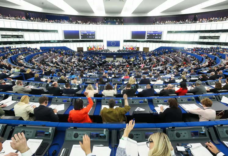 Les eurodéputés votant au sein de l'hémicycle du Parlement européen à Strasbourg le 28 avril. 