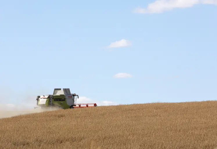 tracteur moissaonnat dans un champ de blé