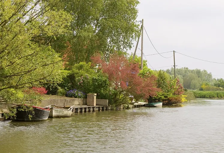 cours d'eau et bateaux ammarés à la berge 