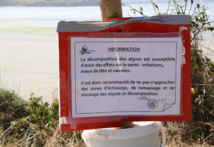 panneau en bord de mer prévenant d'une pollution de l'eau aux algues vertes