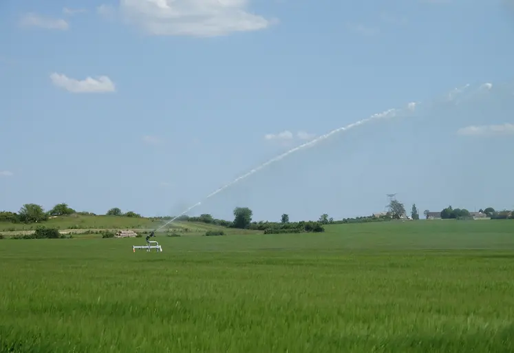 Irrigation dans un champ de céréales