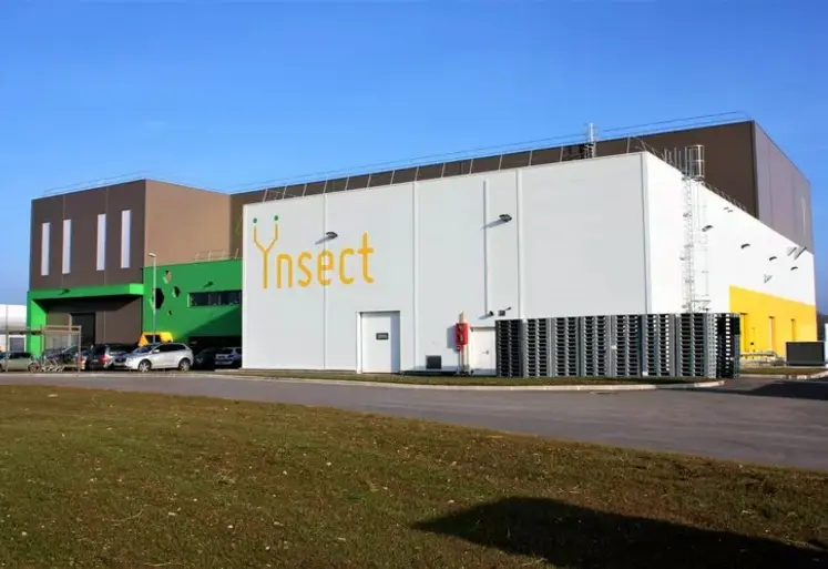 Usine d'Ynsect