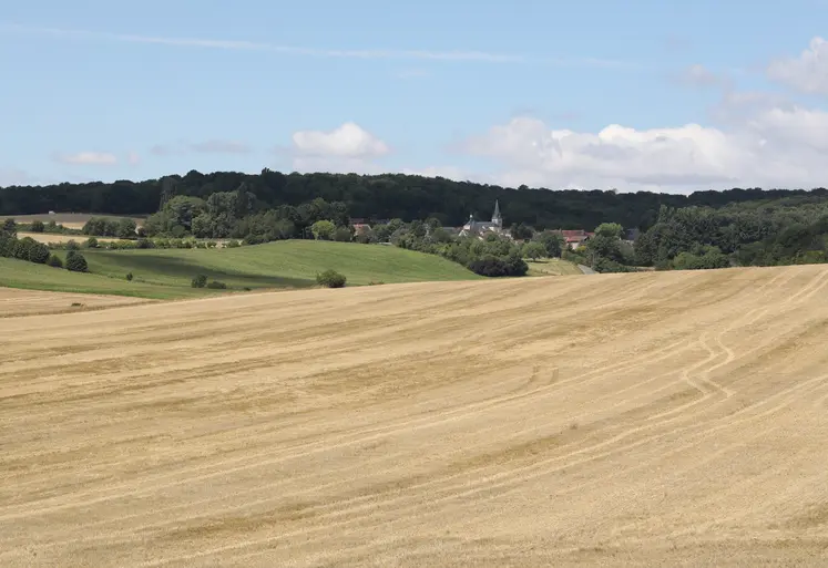  Vue sur des parcelles agricoles et des villages de la campagne marnaise  