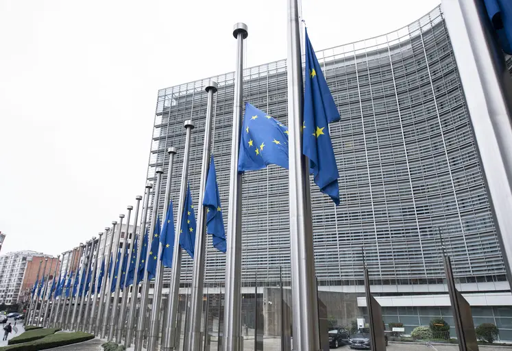 Drapeaux européens devant le bâtiment de la Commission européenne à Bruxelles. 