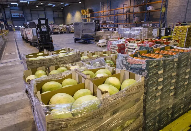 Fruits et légumes importés, dans des cartons au sein d'un entrepôt. 