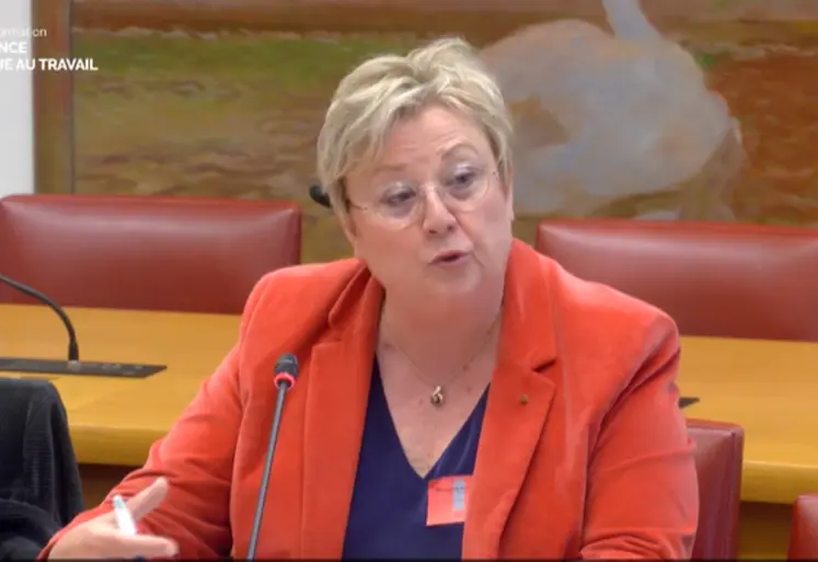   Anne Gautier, vice-présidente de la MSA, auditionnée le 29 avril au Sénat.  