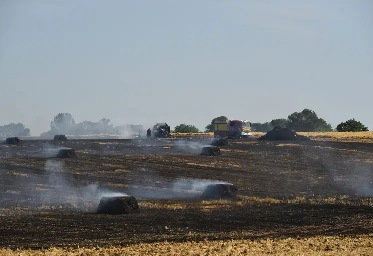 Feu de champs pendant la moisson