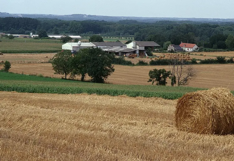 Paysage agricole