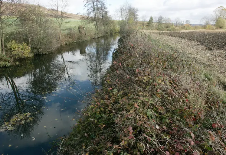 Cours d' eau, rivière et bande herbeuse près d' un champ de culture agricole en automne.