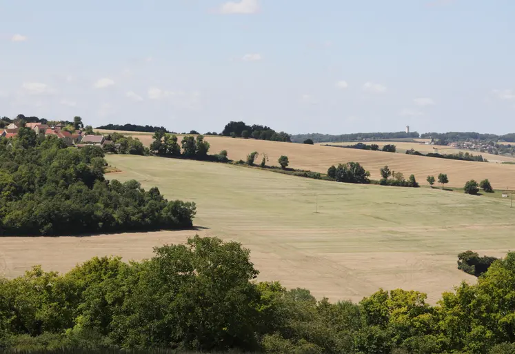 Paysage agricole