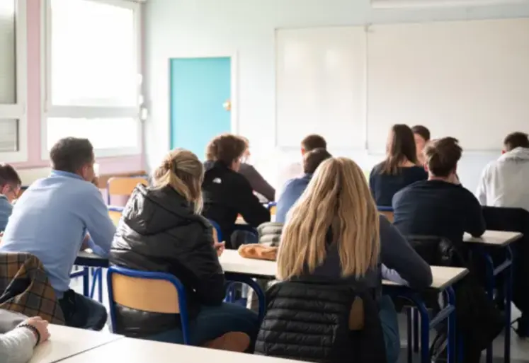 élèves assis de dos dans une salle de classe