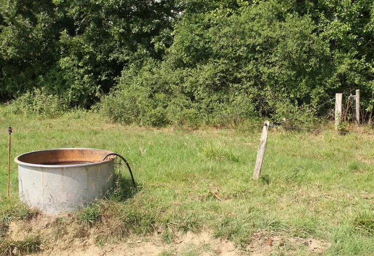 Bac de distribution d'eau dans une pâture pour l'abreuvement des bovins. 