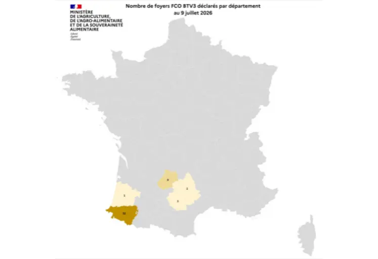 Carte de France des cas de FCO 3 entre début juin et le 9 juillet 2026. 
