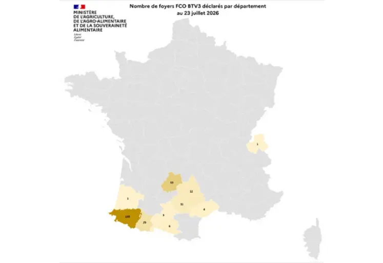 Carte de France des cas de FCO 3 entre début juin et le 23 juillet 2026.  
