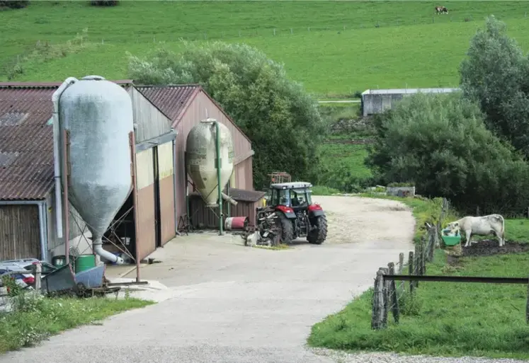 Cour de ferme avec bâtiment visible, un bovin dans une prairie et un tracteur.