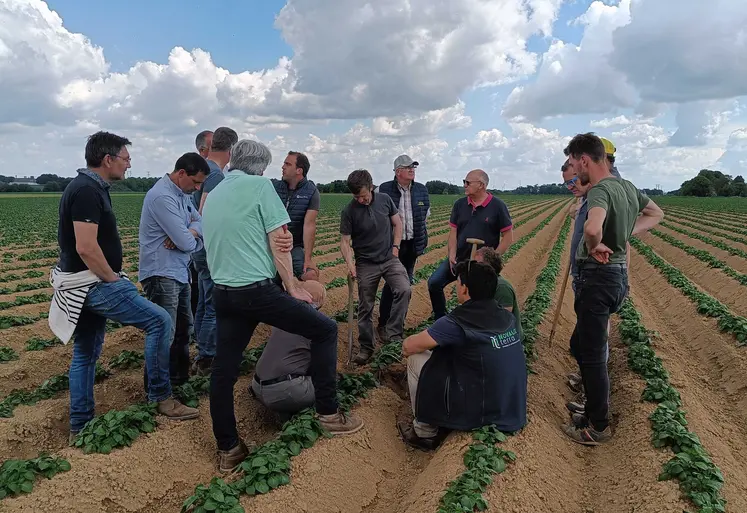 Des agriculteurs engagés dans le programme Covalo Hauts-de-France dans un champ de pommes de terre. 