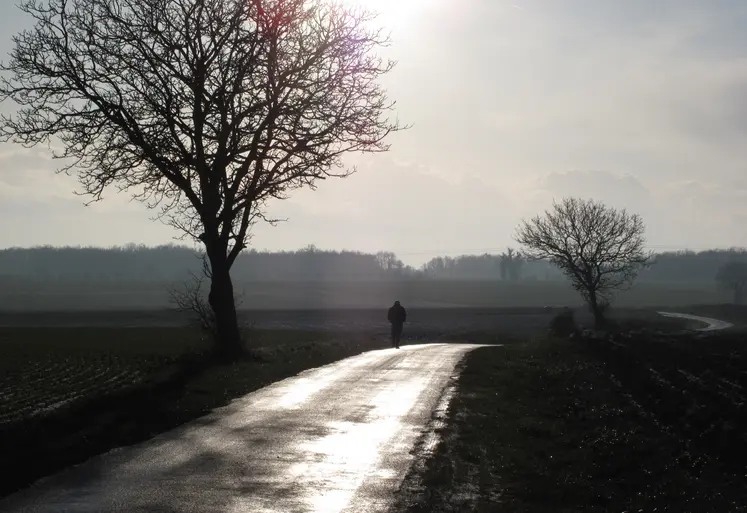 Promeneur seul sur une route de campagne entre deux champ et proche d'un arbre en hiver.